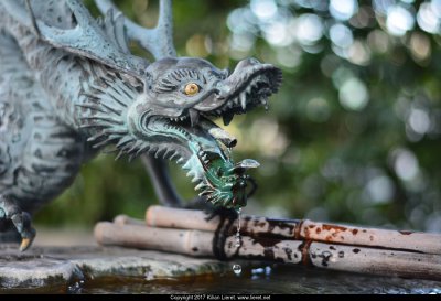 Gargoyle. Japan 2016.