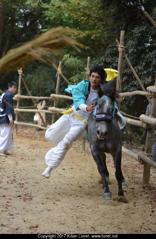 Japanese tradition, where men try to keep up with a horse running around in a paddock. Japan 2016.
