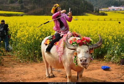 Selfie. China 2016.