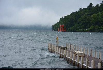 Torii. Japan 2017.